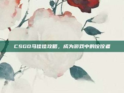CSGO马佳佳攻略，成为游戏中的佼佼者