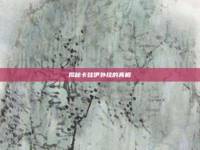 揭秘卡哇伊外挂的真相
