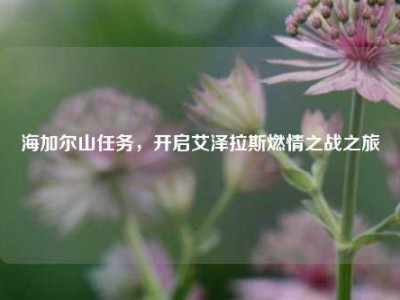 海加尔山任务，开启艾泽拉斯燃情之战之旅