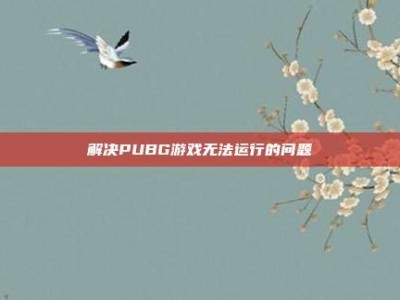 解决PUBG游戏无法运行的问题