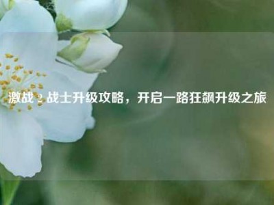 激战 2 战士升级攻略，开启一路狂飙升级之旅