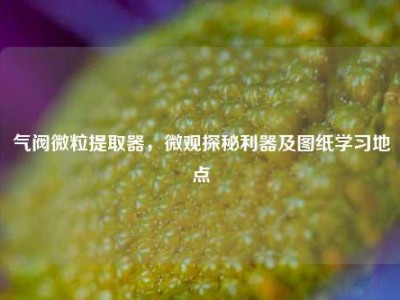 气阀微粒提取器，微观探秘利器及图纸学习地点