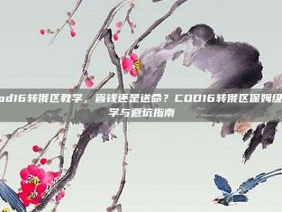 cod16转俄区教学，省钱还是送命？COD16转俄区保姆级教学与避坑指南