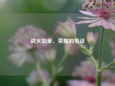 战火勋章，荣耀的见证