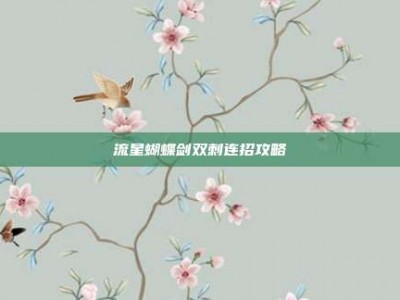 流星蝴蝶剑双刺连招攻略