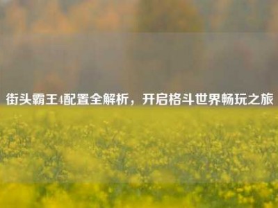 街头霸王4配置全解析，开启格斗世界畅玩之旅