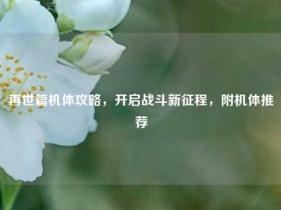 再世篇机体攻略，开启战斗新征程，附机体推荐