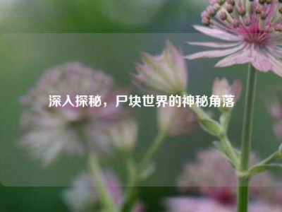 深入探秘，尸块世界的神秘角落