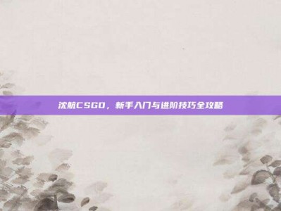 沈航CSGO，新手入门与进阶技巧全攻略