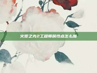 火炬之光2工程师属性点怎么加