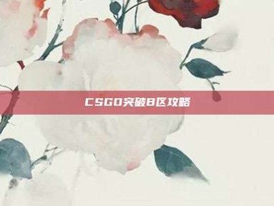 CSGO突破B区攻略