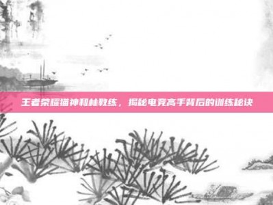 王者荣耀猫神和林教练，揭秘电竞高手背后的训练秘诀