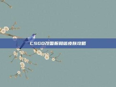 CSGO改国服和谐皮肤攻略