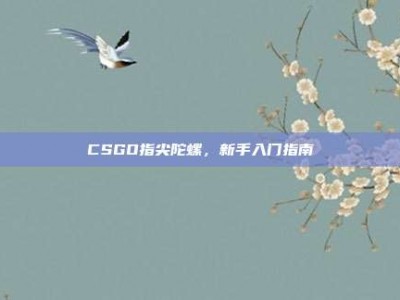 CSGO指尖陀螺，新手入门指南