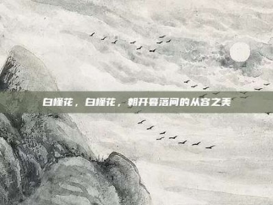 白槿花，白槿花，朝开暮落间的从容之美