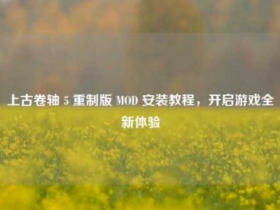上古卷轴 5 重制版 MOD 安装教程，开启游戏全新体验