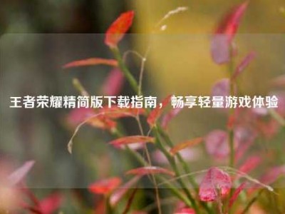 王者荣耀精简版下载指南，畅享轻量游戏体验