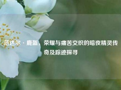 范达尔·鹿盔，荣耀与痛苦交织的暗夜精灵传奇及踪迹探寻