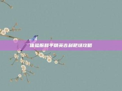 体验服和平精英吉利靶场攻略