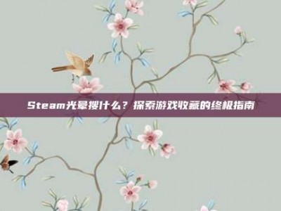 Steam光晕搜什么？探索游戏收藏的终极指南