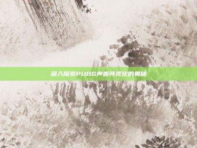 深入探索PUBG声音可视化的奥秘