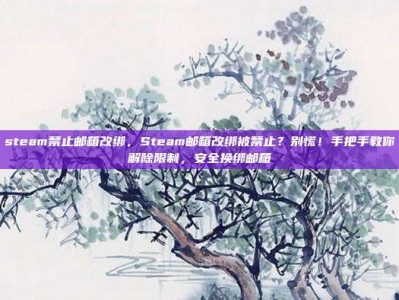 steam禁止邮箱改绑，Steam邮箱改绑被禁止？别慌！手把手教你解除限制，安全换绑邮箱