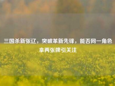 三国杀新张辽，突破革新先锋，能否同一角色拿两张牌引关注