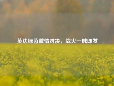 英法绿茵激情对决，战火一触即发