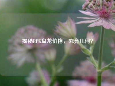 揭秘RPK盘龙价格，究竟几何？