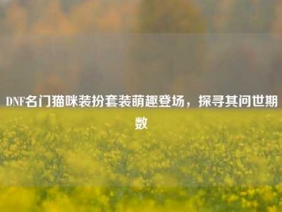 DNF名门猫咪装扮套装萌趣登场，探寻其问世期数