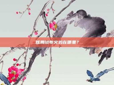 炫舞绒布火鸡在哪里？