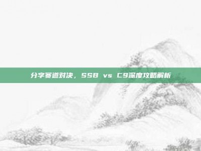 分字赛道对决，SSB vs C9深度攻略解析