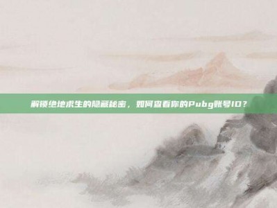 解锁绝地求生的隐藏秘密，如何查看你的Pubg账号ID？
