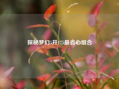 探秘梦幻5开175最省心组合