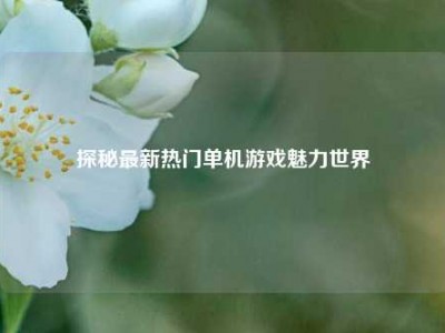 探秘最新热门单机游戏魅力世界