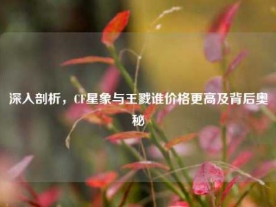 深入剖析，CF星象与王戮谁价格更高及背后奥秘
