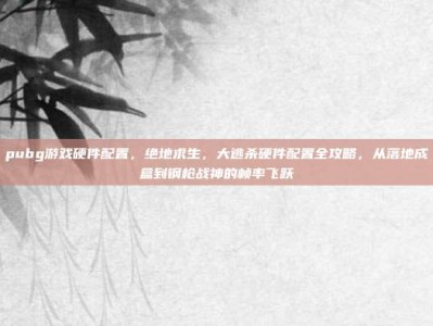 pubg游戏硬件配置，绝地求生，大逃杀硬件配置全攻略，从落地成盒到钢枪战神的帧率飞跃