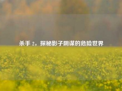 杀手 2，探秘影子阴谋的危险世界