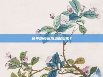 和平精英画质适配多少？