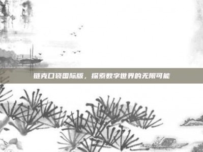 链克口袋国际版，探索数字世界的无限可能