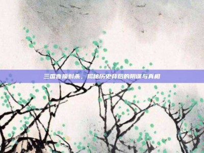 三国曹操剌杀，揭秘历史背后的阴谋与真相