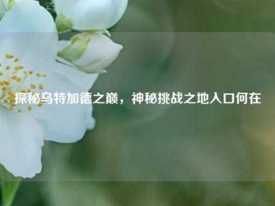 探秘乌特加德之巅，神秘挑战之地入口何在