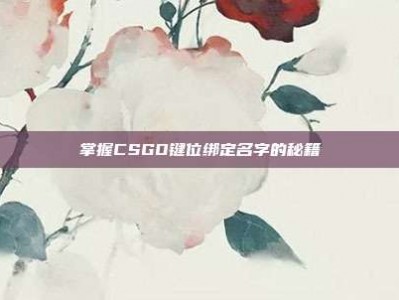 掌握CSGO键位绑定名字的秘籍