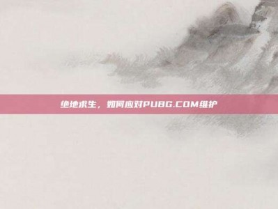 绝地求生，如何应对PUBG.COM维护