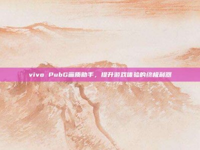 vivo PubG画质助手，提升游戏体验的终极利器
