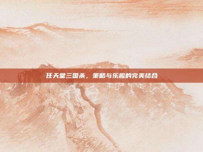 任天堂三国杀，策略与乐趣的完美结合