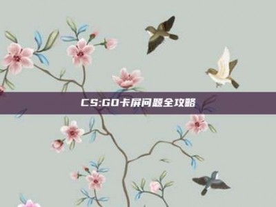 CS:GO卡屏问题全攻略
