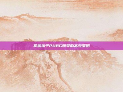 掌握沫子PUBG账号的高效策略