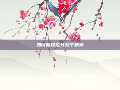 如何看段位分和平精英
