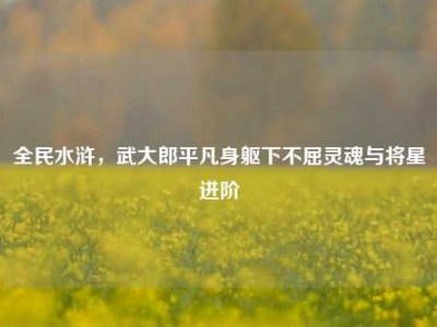 全民水浒，武大郎平凡身躯下不屈灵魂与将星进阶